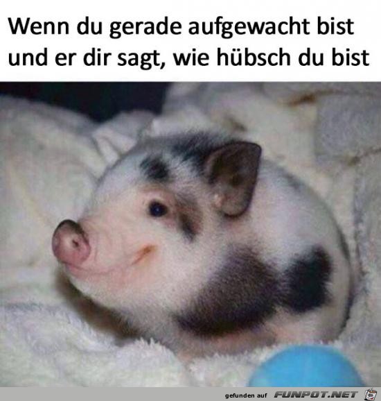Soo lieb Soo lieb