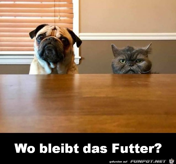 Wo bleibt das Futter