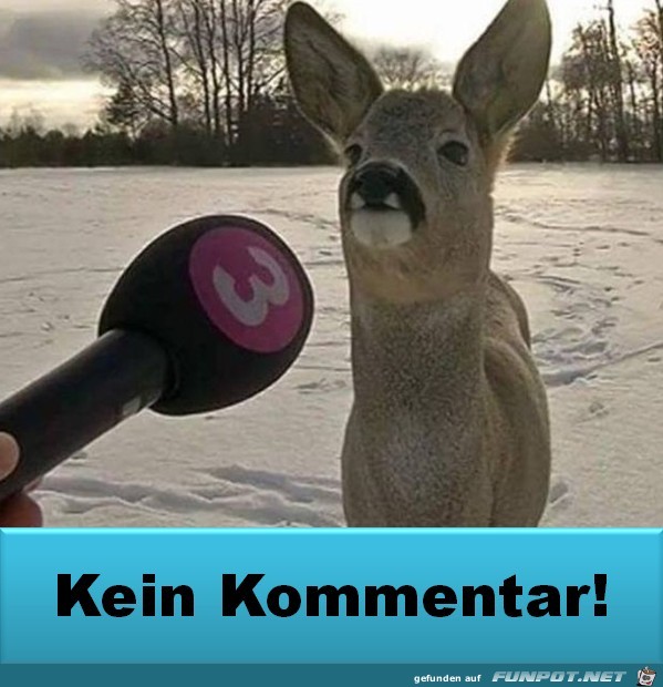 Kein Kommentar