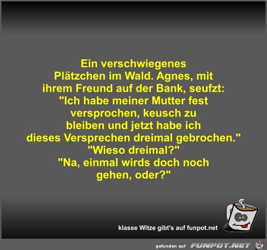 Ein verschwiegenes Plätzchen im Wald Ein verschwiegenes Plätzchen im Wald