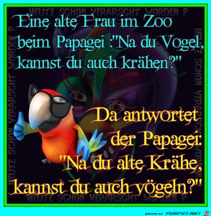 Kannst du auch vögeln? Kannst du auch vögeln?