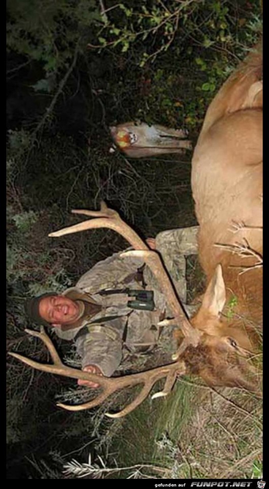 Uiuiui im Hintergrund wartet der nächste Jäger Uiuiui im Hintergrund wartet der nächste Jäger