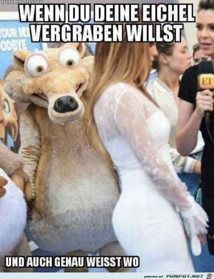 Wenn du unbedingt deine Eichel vergraben willst...