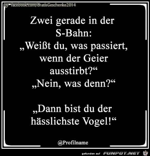 Du bist der hässlichste Vogel Du bist der hässlichste Vogel