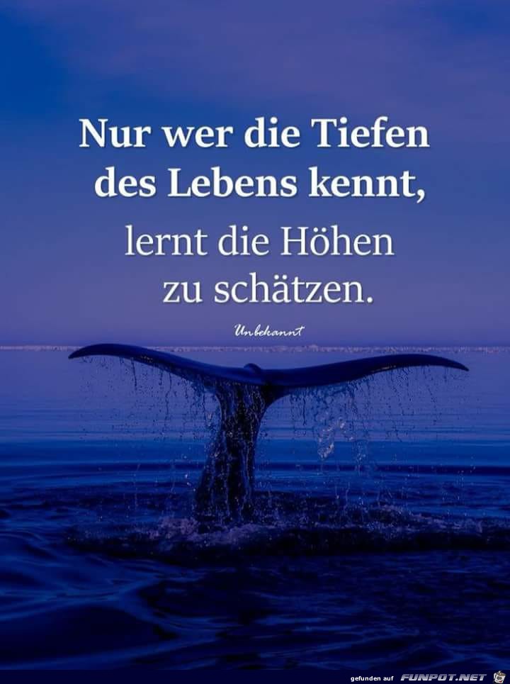 Die Tiefen des Lebens Die Tiefen des Lebens