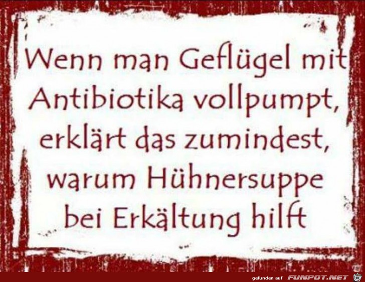Hühnersuppe Hühnersuppe