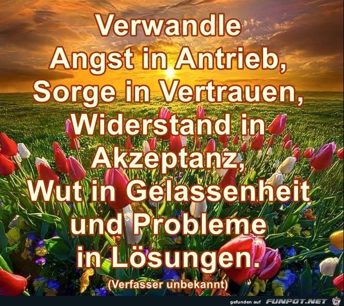 Verwandle Angst in Antrieb Verwandle Angst in Antrieb