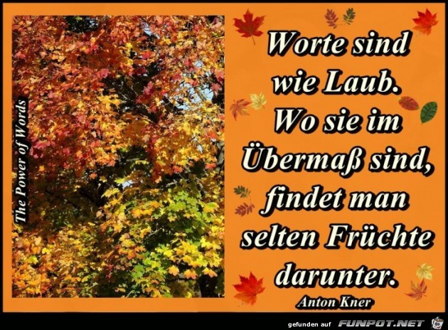 Worte sind wie Laub