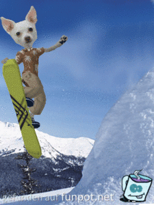 Skiiiiifohrn Skiiiiifohrn