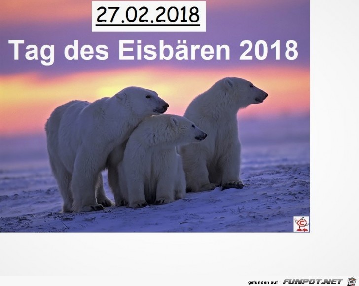 Tag des Eisbren