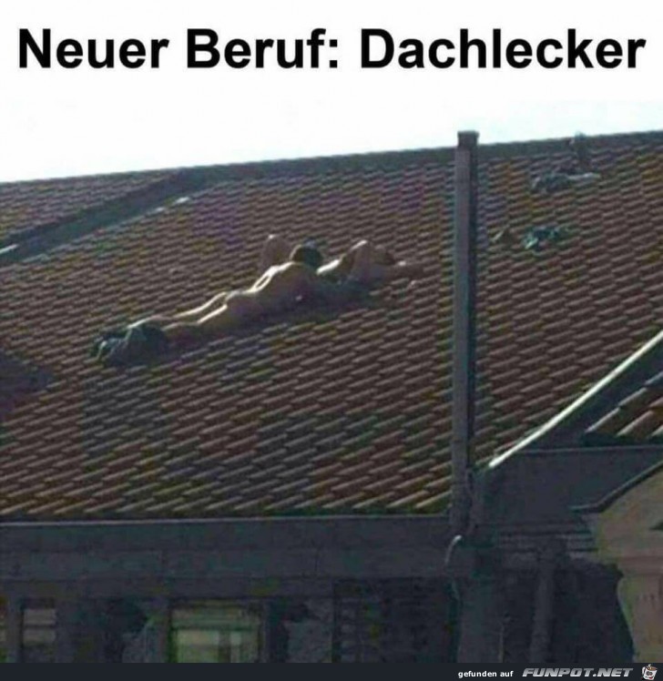 Dachlecker, neuer Beruf