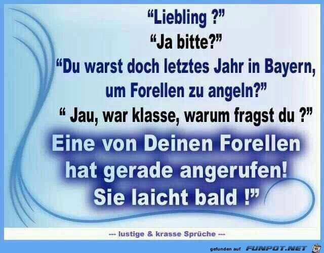 Sie laicht bald Sie laicht bald