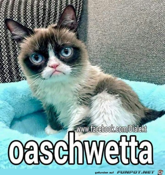 Arschwetter Arschwetter