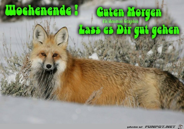 Wochenende Wochenende