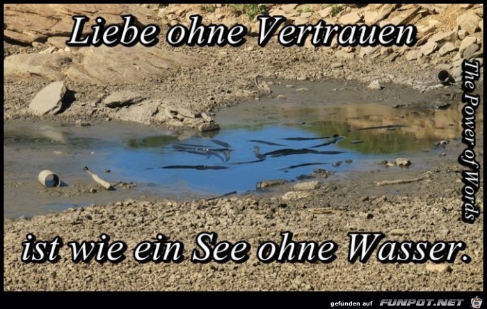 Liebe ohne Vertrauen