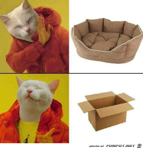 Kommt hin Kommt hin