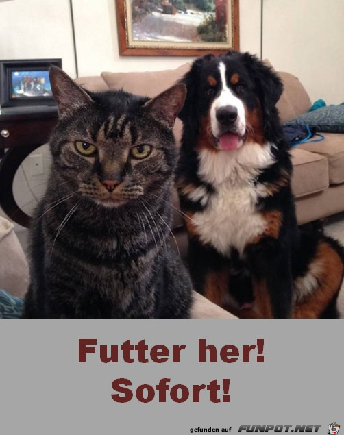 Futter her Futter her