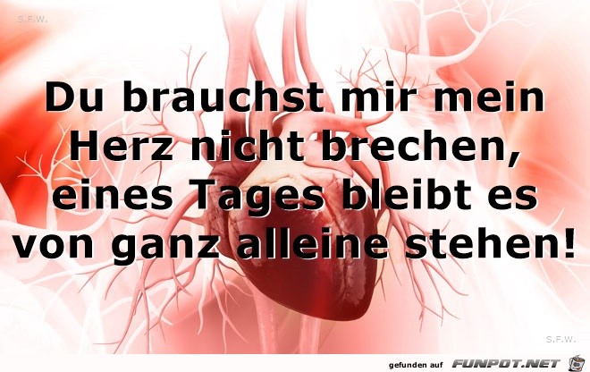 Herz Herz