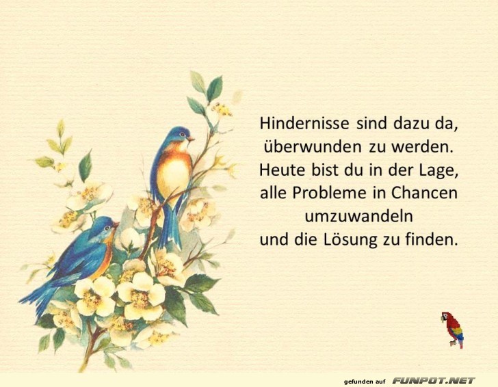Hindernisse sind dazu da Hindernisse sind dazu da