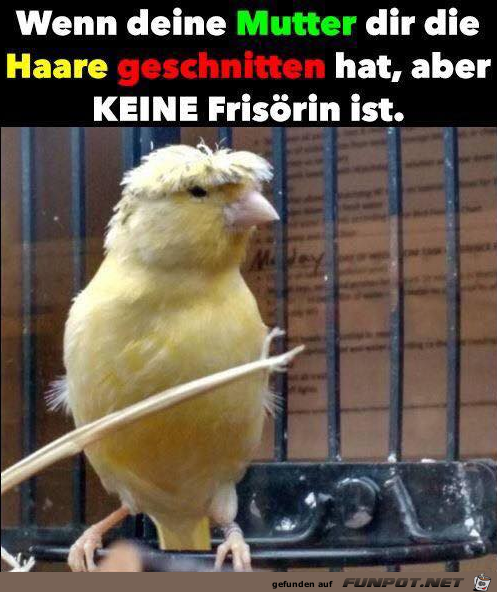 Neuer Haarschnitt Neuer Haarschnitt
