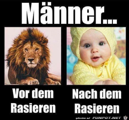 Männer Männer