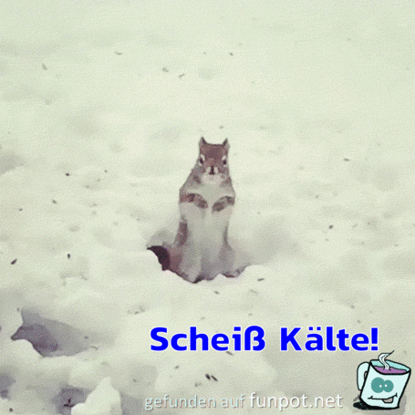 Scheiß Kälte Scheiß Kälte