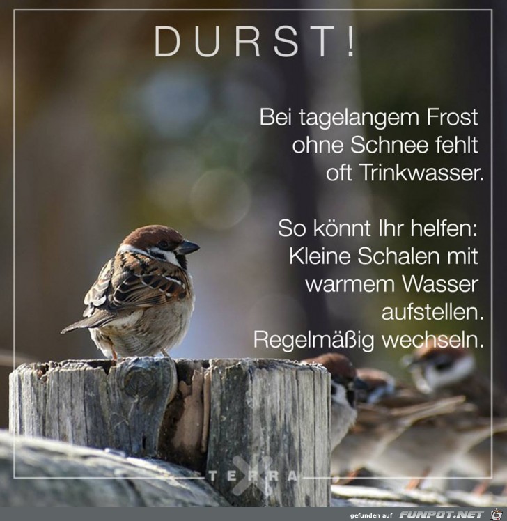 Durst Durst