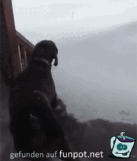 Kalt Kalt
