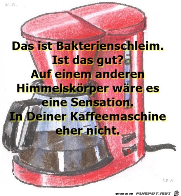 Bakterienschlein Bakterienschlein