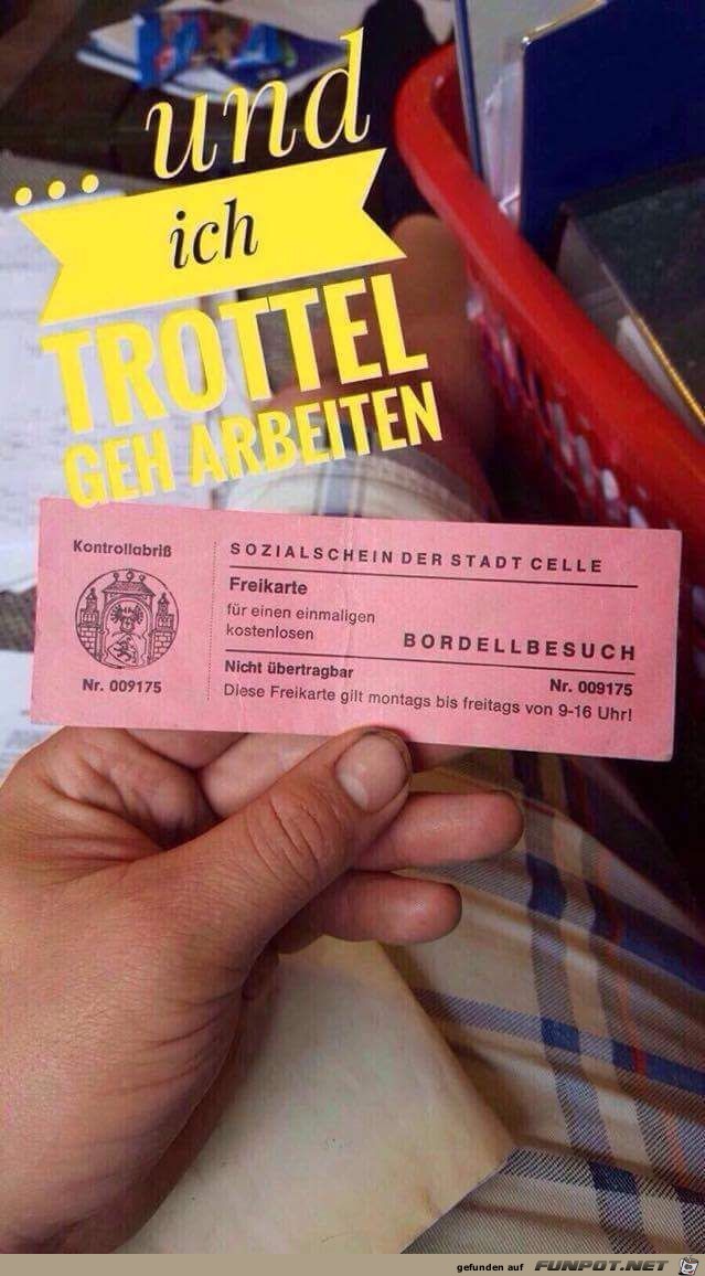 ich Trottel ich Trottel