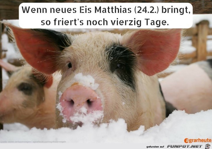 Kälte bleibt noch Kälte bleibt noch