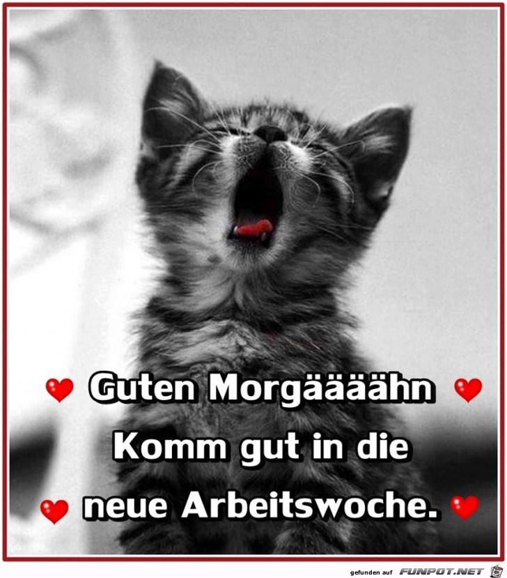 Guten Morgaeaeaeaehn Guten Morgaeaeaeaehn