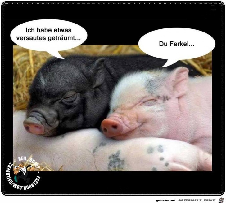 Habe etwas Habe etwas
