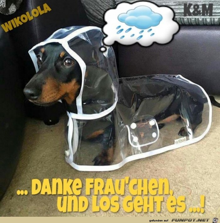 Danke Frauchen Danke Frauchen