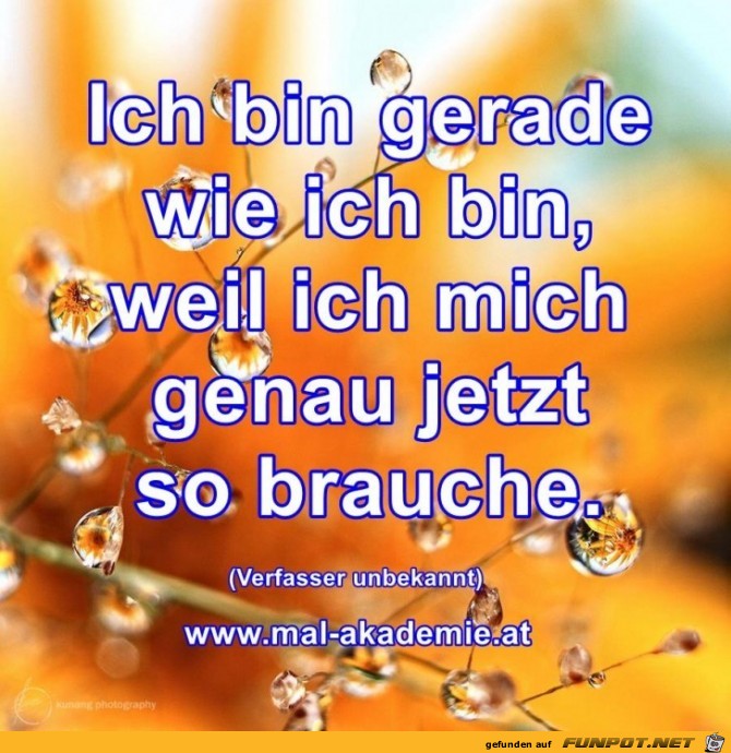 Bin gerade wie ich bin Bin gerade wie ich bin