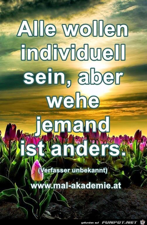 Alle wollen Alle wollen