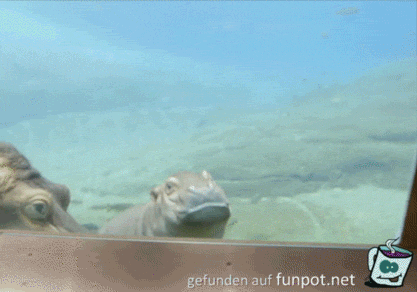 Hallöchen Hallöchen