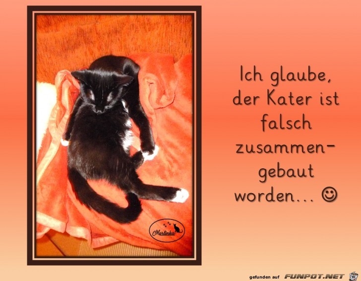 Ich glaube.... Ich glaube....