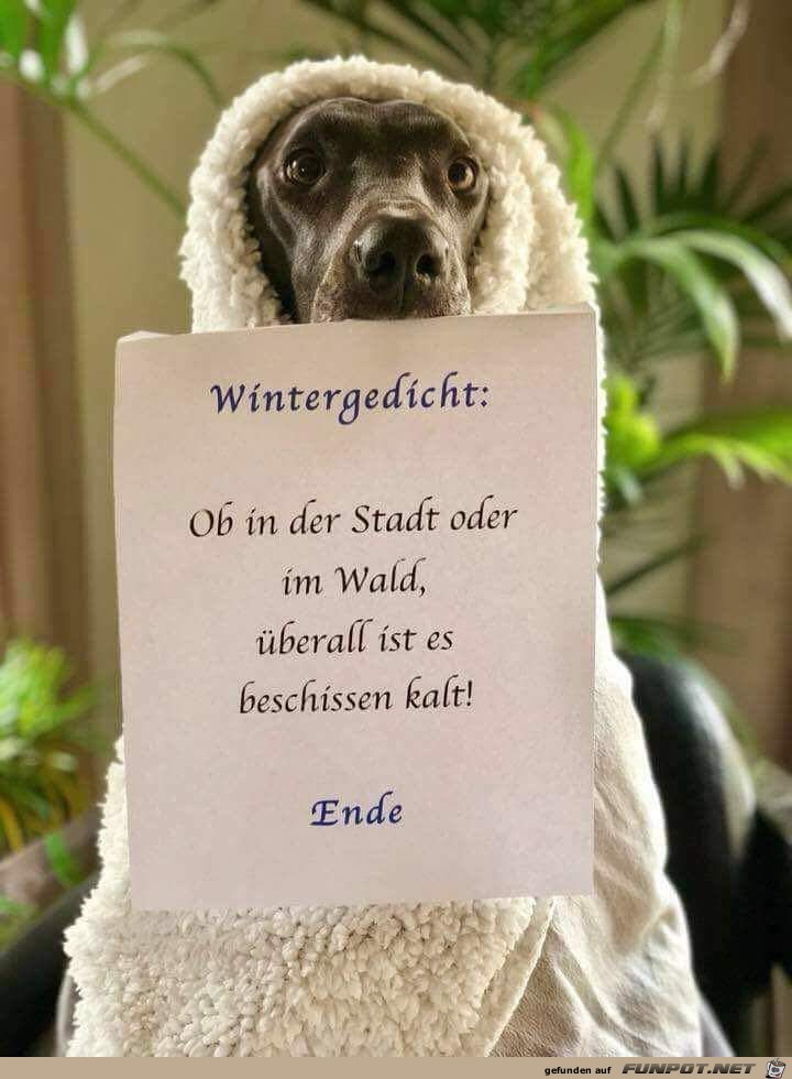 Wintergedicht Wintergedicht