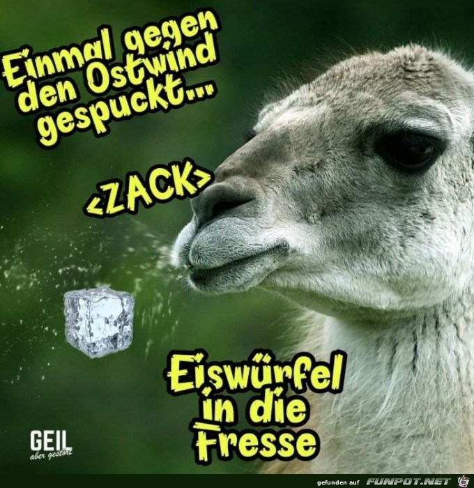 Einmal gespuckt