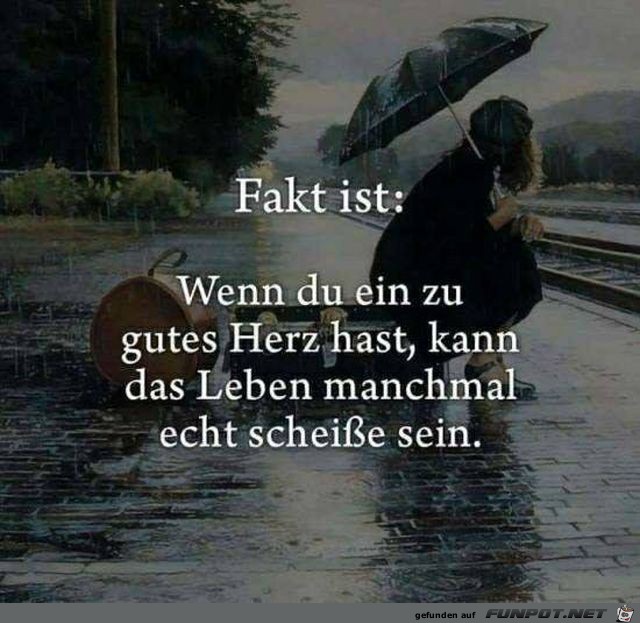Fakt ist Fakt ist