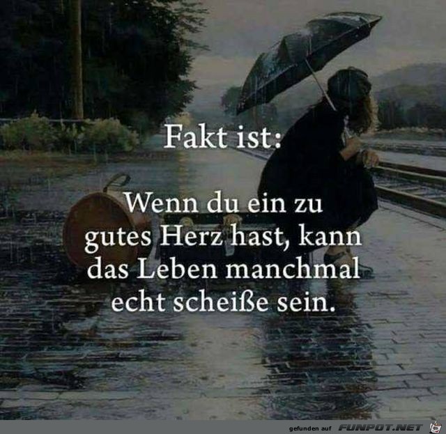 Fakt ist