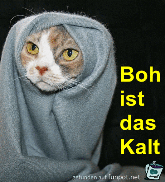 boh, ist das kalt...... boh, ist das kalt......