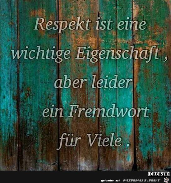 Respekt ist eine wichtige Eigenschaft,,...... Respekt ist eine wichtige Eigenschaft,,......