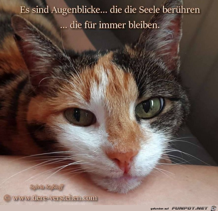 Es sind Augenblicke Es sind Augenblicke
