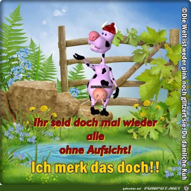 Alle ohne Aufsicht Alle ohne Aufsicht