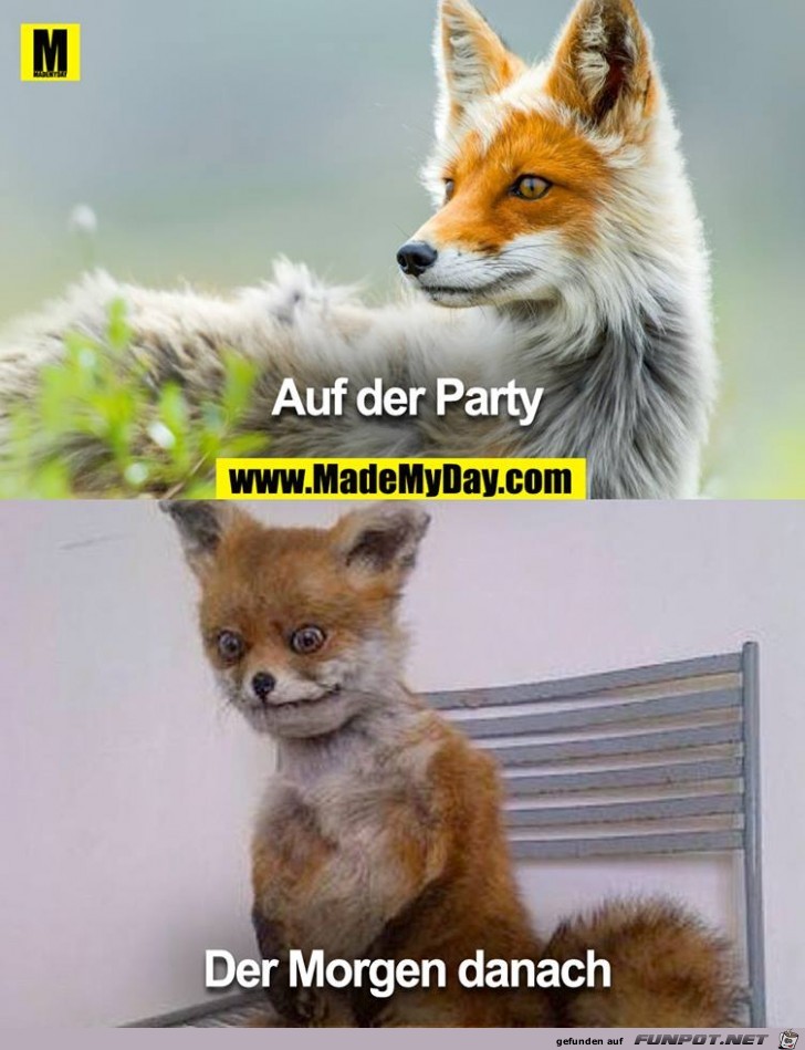 Der Morgen danach Der Morgen danach