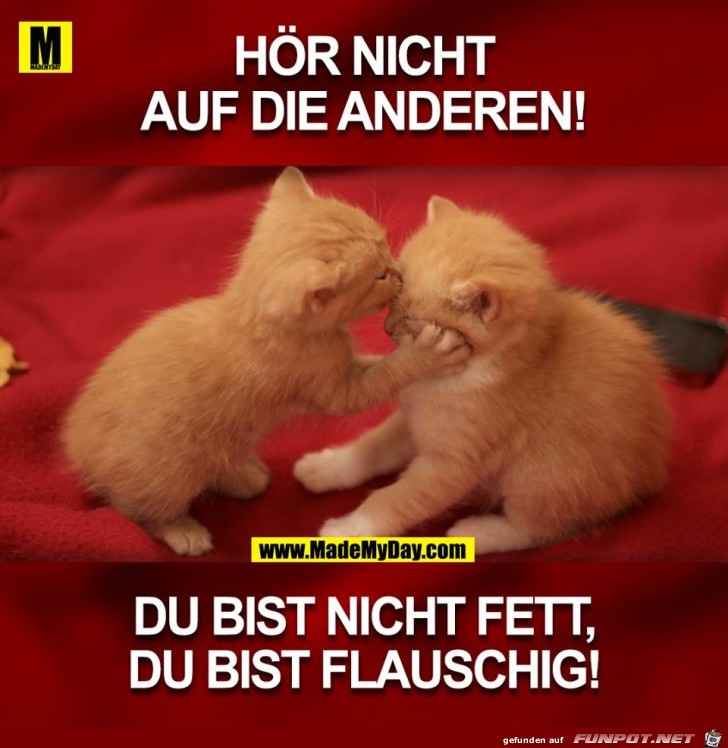 Hoer nicht auf die anderen Hoer nicht auf die anderen