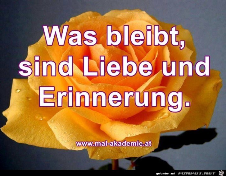 Was bleibt Was bleibt