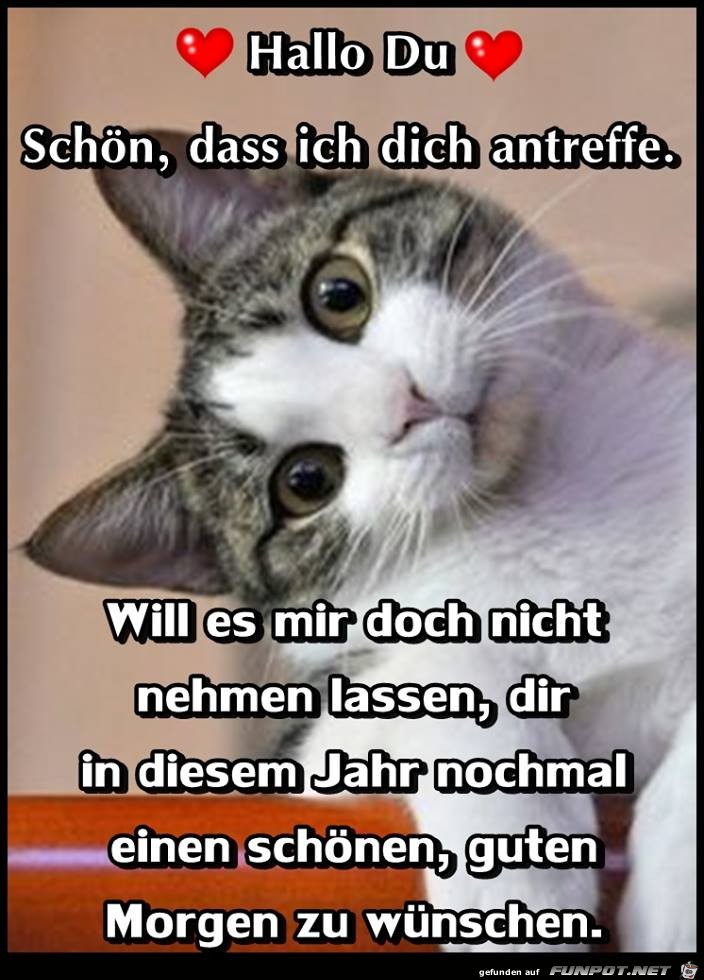 Hallo Du schoen das ich dich antreffe Hallo Du schoen das ich dich antreffe